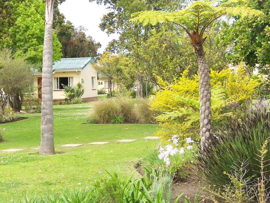 Pine Lodge Resort George Εξωτερικό φωτογραφία